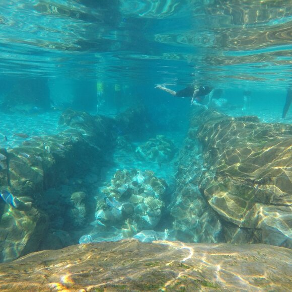 Meet your Posher, South Bay Girl - Picture 2 of 2